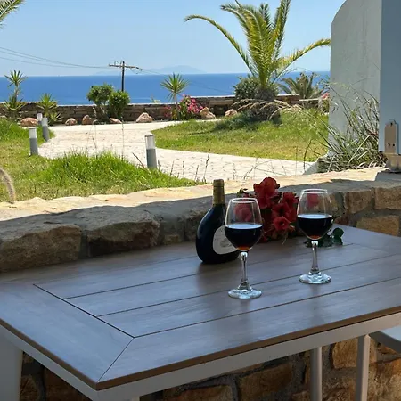 Sunrise * Стелида