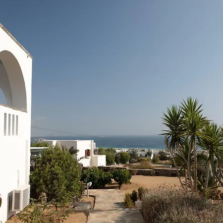 Sunrise Стелида