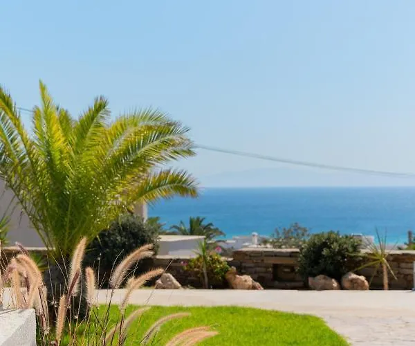 Sunrise * Стелида