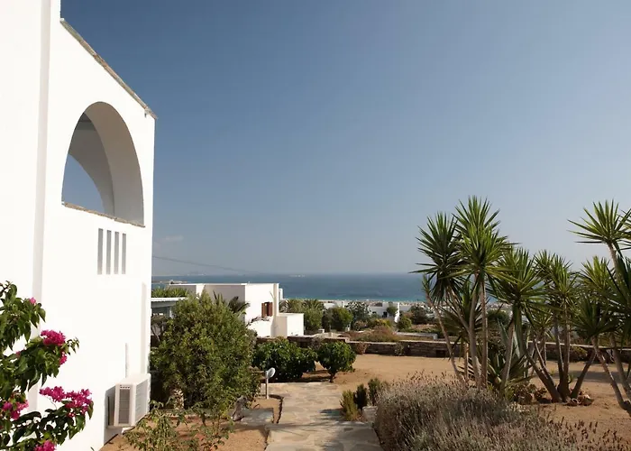 Sunrise Стелида