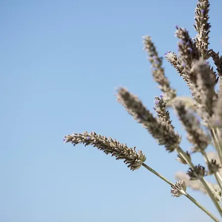 Appartamento Sunrise